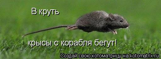 Котоматрица: В круть крысы с корабля бегут!