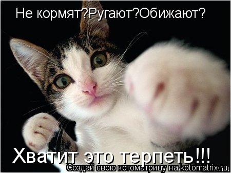 Котоматрица: Не кормят?Ругают?Обижают? Хватит это терпеть!!!