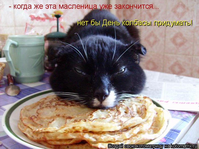 Котоматрица: - когда же эта масленица уже закончится...  нет бы День колбасы придумать!