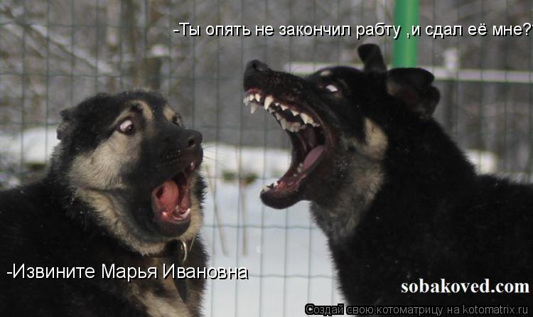 Котоматрица: -Извините Марья Ивановна -Ты опять не закончил рабту ,и сдал её мне????