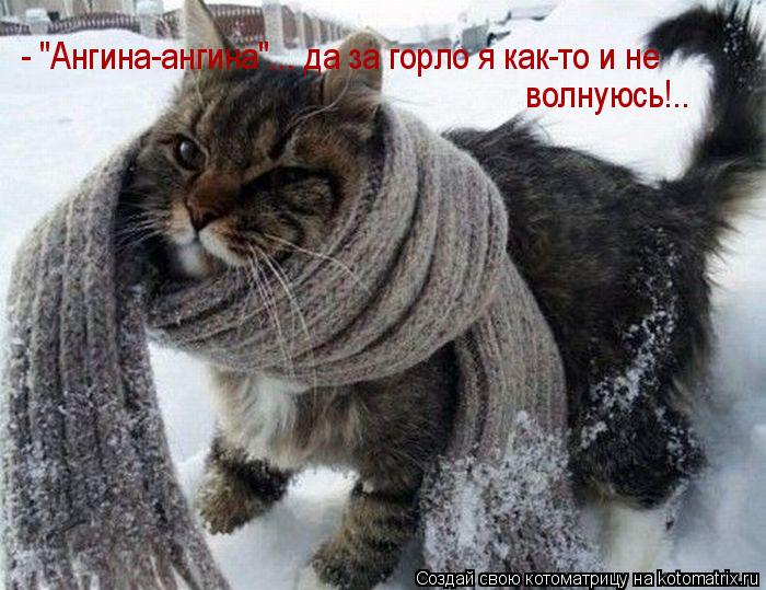 Котоматрица: - "Ангина-ангина"... да за горло я как-то и не волнуюсь!..