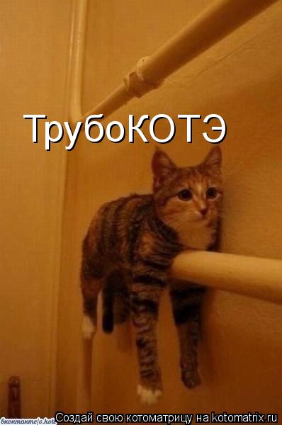 Котоматрица: ТрубоКОТЭ