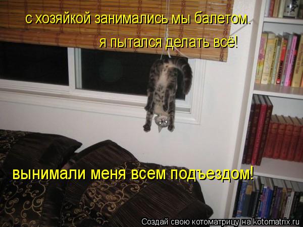 Котоматрица: я пытался делать всё! c хозяйкой занимались мы балетом. вынимали меня всем подъездом!