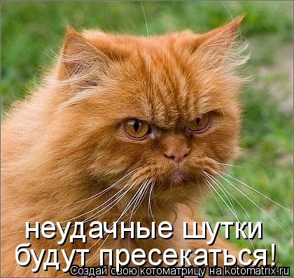 Котоматрица: неудачные шутки будут пресекаться!
