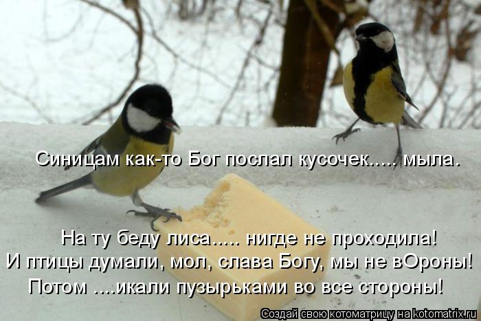 Синицам как-то Бог послал кусочек..... мыла. На ту беду лиса..... нигде не проходила! И птицы думали,... Котоматрица: Синицам как-то Бог послал кусочек..... мыла. На ту беду лиса..... нигде не проходила! И птицы думали, мол, слава Богу, мы не вОроны! Потом ....икали п