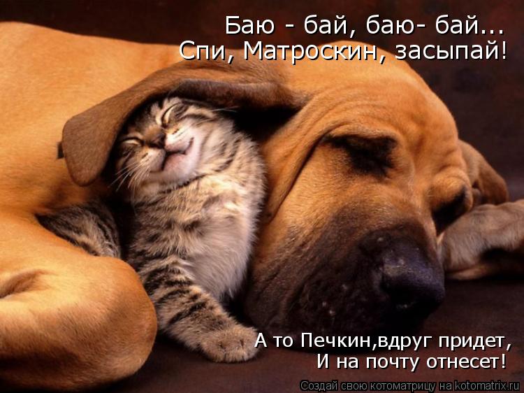 Котоматрица: Баю - бай, баю- бай... Спи, Матроскин, засыпай! А то Печкин,вдруг придет, И на почту отнесет!