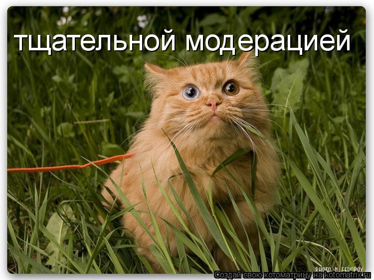 Котоматрица: тщательной модерацией