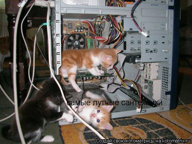 Котоматрица: самые лутчые сантехники