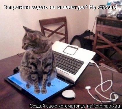 Котоматрица: Запретили сидеть на клавиатуре? Ну хорошо!