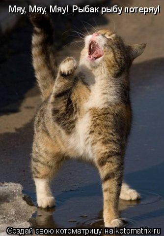 Котоматрица: Мяу, Мяу, Мяу! Рыбак рыбу потеряу!