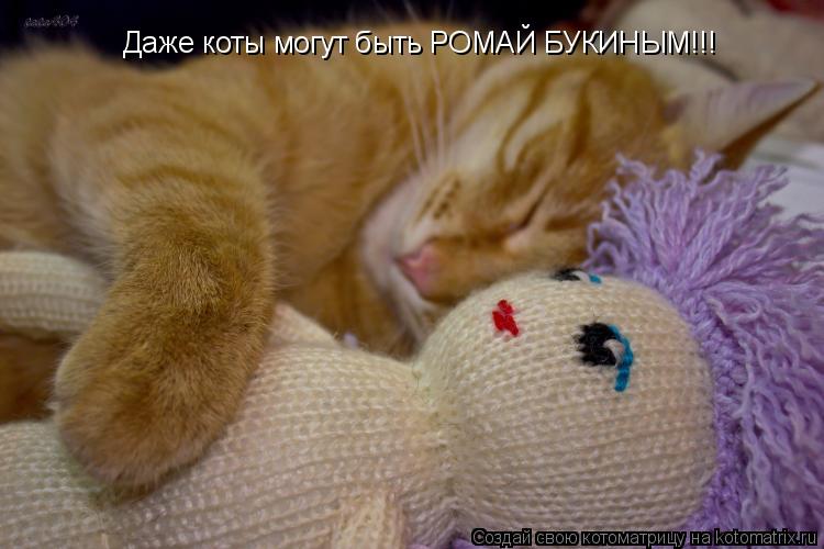 Котоматрица: Даже коты могут быть РОМАЙ БУКИНЫМ!!!