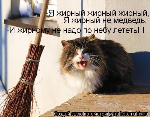 Котоматрица: -Я жирный жирный жирный, -Я жирный не медведь, -И жирному не надо по небу лететь!!!