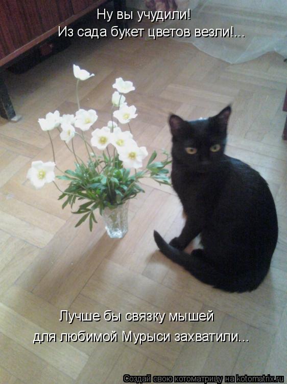 Котоматрица: Ну вы учудили!  Из сада букет цветов везли!... Лучше бы связку мышей для любимой Мурыси захватили...