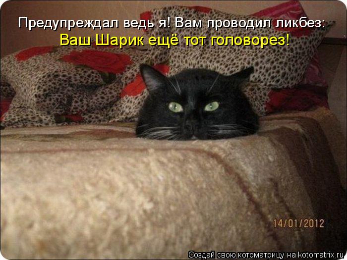 Котоматрица: Ваш Шарик ещё тот головорез! Предупреждал ведь я! Вам проводил ликбез: