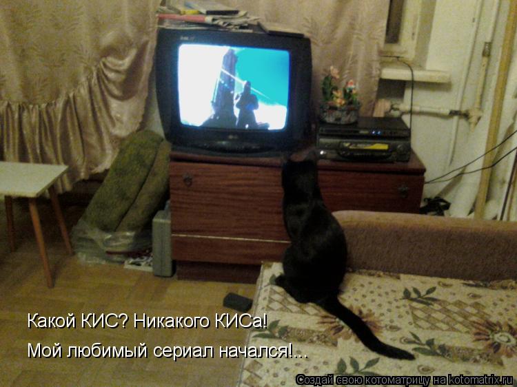 Котоматрица: Какой КИС? Никакого КИСа!  Мой любимый сериал начался!...