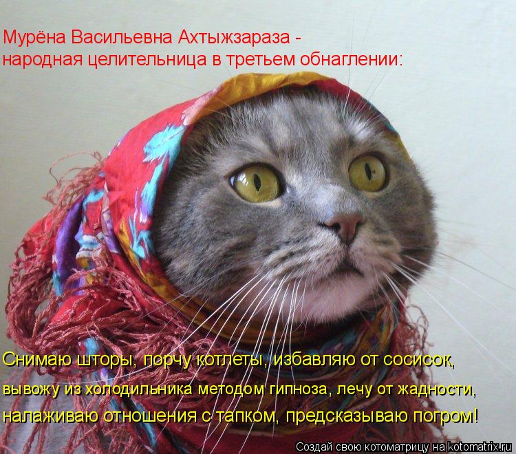 Мурёна Васильевна Ахтыжзараза - народная целительница в третьем обнаглении: Снимаю шторы, порчу котле... Котоматрица: Мурёна Васильевна Ахтыжзараза - народная целительница в третьем обнаглении: Снимаю шторы, порчу котлеты, избавляю от сосисок, вывожу из хол
