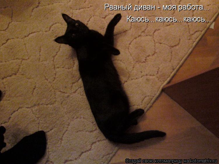 Рваный диван - моя работа... Каюсь...каюсь...каюсь...... Котоматрица: Рваный диван - моя работа... Каюсь...каюсь...каюсь...
