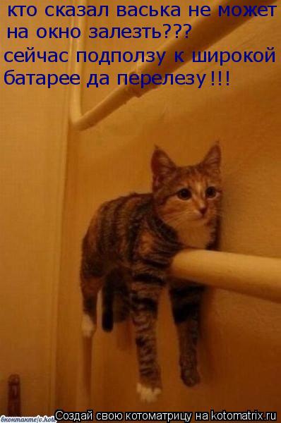 кто сказал васька не может на окно залезть??? сейчас подползу к широкой батарее да перелезу !!!... Котоматрица: кто сказал васька не может на окно залезть??? сейчас подползу к широкой батарее да перелезу !!!