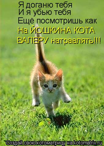 Я доганю тебя И я убью тебя Ещё посмотришь как На ЙОШКИНА КОТА ВАЛЕРУ натравлять!!!... Котоматрица: Я доганю тебя И я убью тебя Ещё посмотришь как На ЙОШКИНА КОТА ВАЛЕРУ натравлять!!!