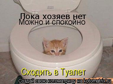 Котоматрица: Пока хозяев нет  Можно и спокойно Сходить в Туалет