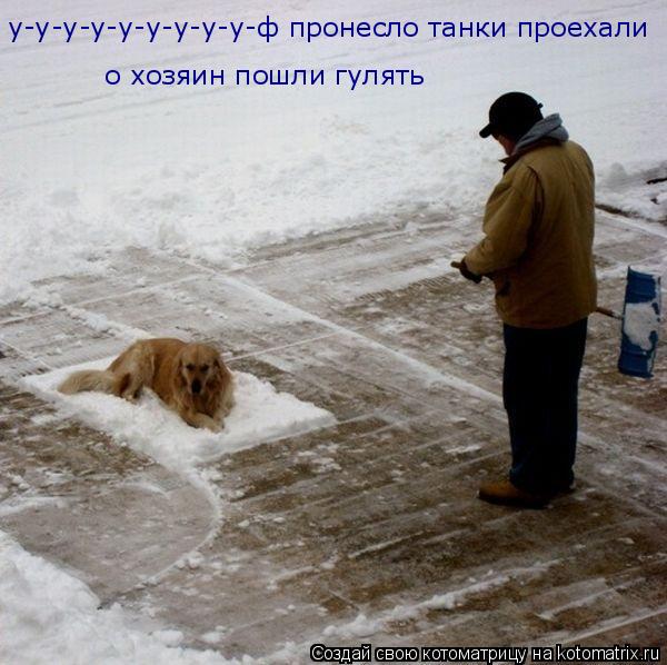 Котоматрица: у-у-у-у-у-у-у-у-у-ф пронесло танки проехали о хозяин пошли гулять