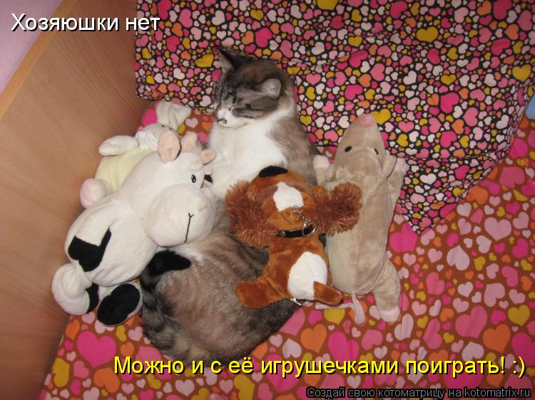 Котоматрица: Хозяюшки нет Можно и с её игрушечками поиграть! :)
