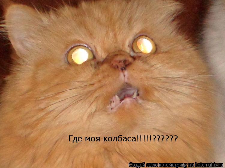 Котоматрица: Где моя колбаса!!!!!??????