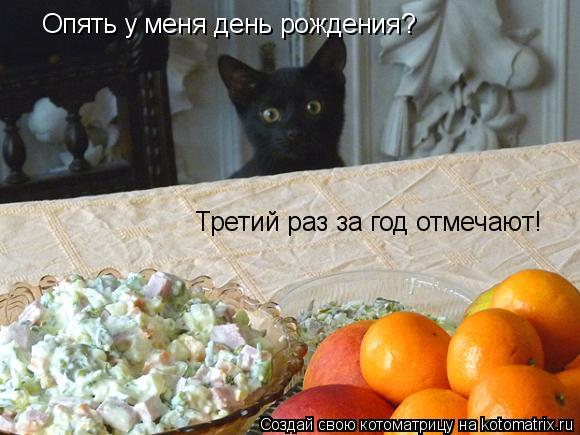 Котоматрица: Опять у меня день рождения? Третий раз за год отмечают!