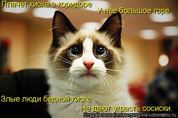 Котоматрица: Плачет киска в коридоре    У нее большое горе Злые люди бедной киске Не дают украсть сосиски.