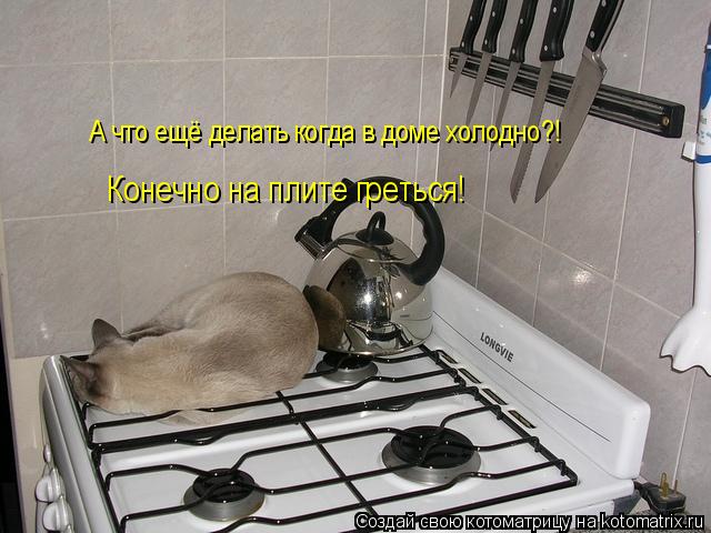 А что ещё делать когда в доме холодно?! Конечно на плите греться!... Котоматрица: А что ещё делать когда в доме холодно?! Конечно на плите греться!