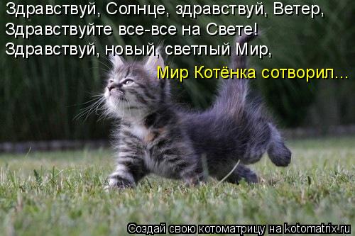 Здравствуй, Солнце, здравствуй, Ветер, Здравствуйте все-все на Свете! Здравствуй, новый, светлый Мир,... Котоматрица: Здравствуй, Солнце, здравствуй, Ветер, Здравствуйте все-все на Свете! Здравствуй, новый, светлый Мир, Мир Котёнка сотворил...