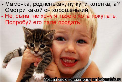 - Мамочка, родненькая, ну купи котенка, а? Смотри какой он хорошенький! - Не, сына, не хочу я твоего ... Котоматрица: - Мамочка, родненькая, ну купи котенка, а? Смотри какой он хорошенький! - Не, сына, не хочу я твоего кота покупать. Попробуй его папе продать.