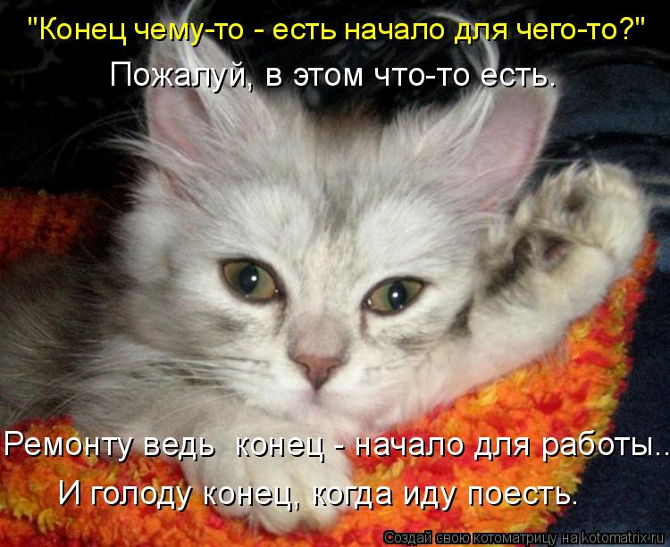 Пожалуй, в этом что-то есть. "Конец чему-то - есть начало для чего-то?" Ремонту ведь конец - начало... Котоматрица: Пожалуй, в этом что-то есть. "Конец чему-то - есть начало для чего-то?" Ремонту ведь конец - начало для работы... И голоду конец, когда иду поест