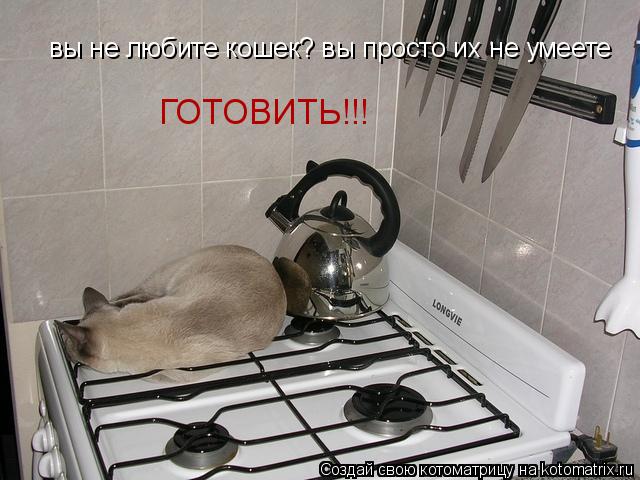 вы не любите кошек? вы просто их не умеете ГОТОВИТЬ!!!... Котоматрица: вы не любите кошек? вы просто их не умеете ГОТОВИТЬ!!!