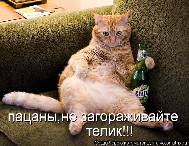 пацаны,не загораживайте телик!!! телик!!!... Котоматрица: пацаны,не загораживайте телик!!! телик!!!