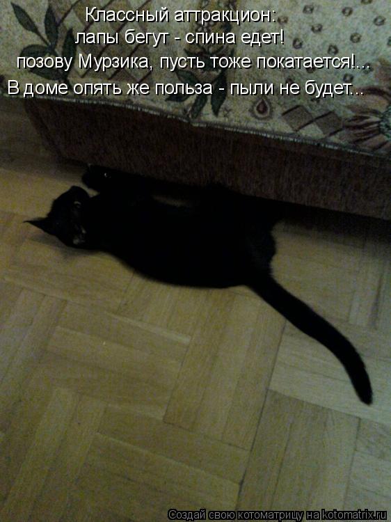Классный аттракцион: лапы бегут - спина едет! позову Мурзика, пусть тоже покатается!... В доме опять... Котоматрица: Классный аттракцион: лапы бегут - спина едет! позову Мурзика, пусть тоже покатается!... В доме опять же польза - пыли не будет...