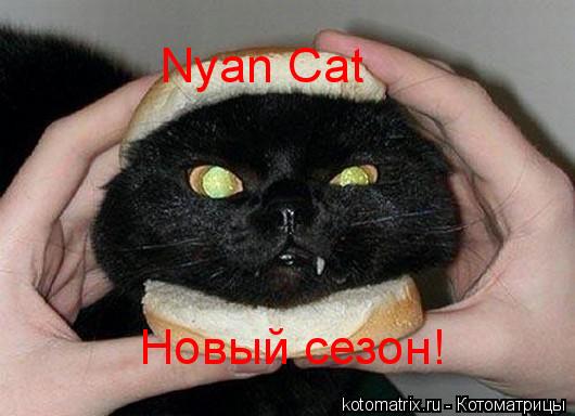 Nyan Cat Новый сезон!... Котоматрица: Nyan Cat Новый сезон!