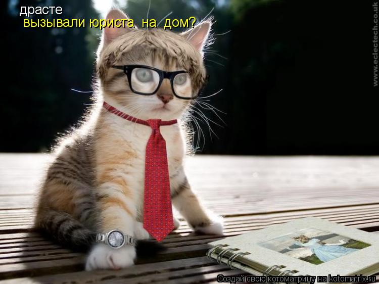 драсте вызывали юриста на дом?... Котоматрица: драсте вызывали юриста на дом?