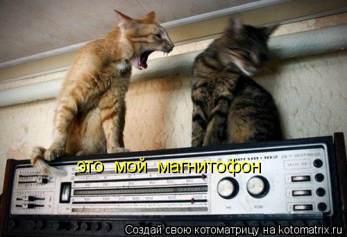 это мой магнитофон... Котоматрица: это мой магнитофон