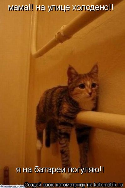 мама!! на улице холодено!! мама!! на улице холодено!! я на батареи погуляю!!... Котоматрица: мама!! на улице холодено!! мама!! на улице холодено!! я на батареи погуляю!!