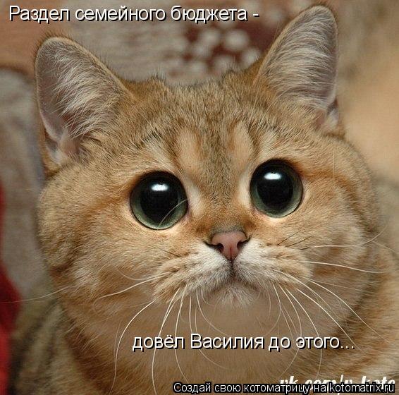 Раздел семейного бюджета - довёл Василия до этого...... Котоматрица: Раздел семейного бюджета - довёл Василия до этого...