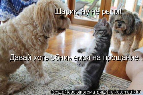 Шарик, ну не рычи! Давай хоть обнимемся на прощание...... Котоматрица: Шарик, ну не рычи! Давай хоть обнимемся на прощание...