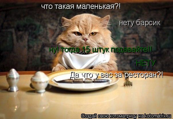 что такая маленькая?! нету барсик ну! тогда 15 штук подавайте!! НЕТУ Да что у вас за ресторан?!... Котоматрица: что такая маленькая?! нету барсик ну! тогда 15 штук подавайте!! НЕТУ Да что у вас за ресторан?!