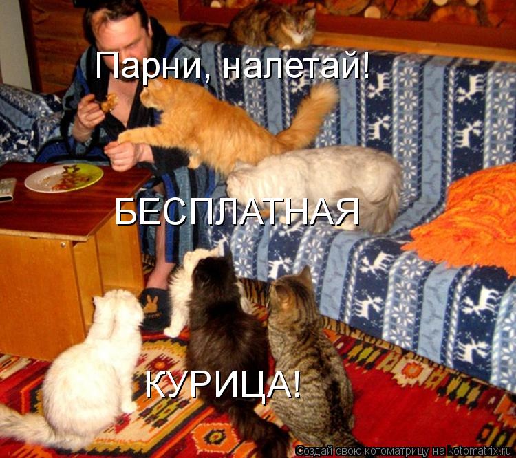 Парни, налетай! БЕСПЛАТНАЯ КУРИЦА!... Котоматрица: Парни, налетай! БЕСПЛАТНАЯ КУРИЦА!