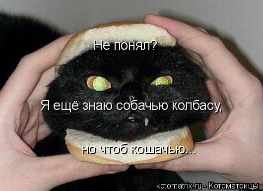 Не понял? Я ещё знаю собачью колбасу, Я ещё знаю собачью колбасу, но чтоб кошачью...... Котоматрица: Не понял? Я ещё знаю собачью колбасу, Я ещё знаю собачью колбасу, но чтоб кошачью...