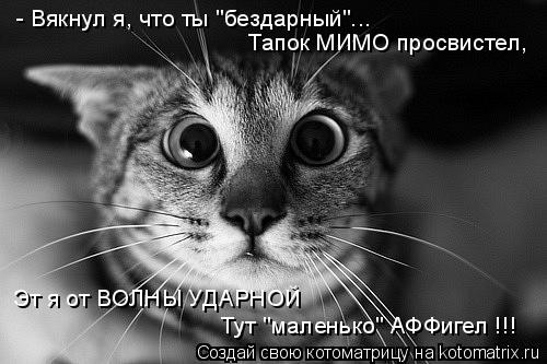 - Вякнул я, что ты "бездарный"... Тапок МИМО просвистел, Тут "маленько" АФФигел !!! Эт я от ВОЛНЫ УДА... Котоматрица: - Вякнул я, что ты "бездарный"... Тапок МИМО просвистел, Тут "маленько" АФФигел !!! Эт я от ВОЛНЫ УДАРНОЙ