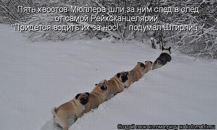 Пять хвостов Мюллера шли за ним след в след от самой Рейхсканцелярии. "Придётся водить их за нос!" - ... Котоматрица: Пять хвостов Мюллера шли за ним след в след от самой Рейхсканцелярии. "Придётся водить их за нос!" - подумал Штирлиц.