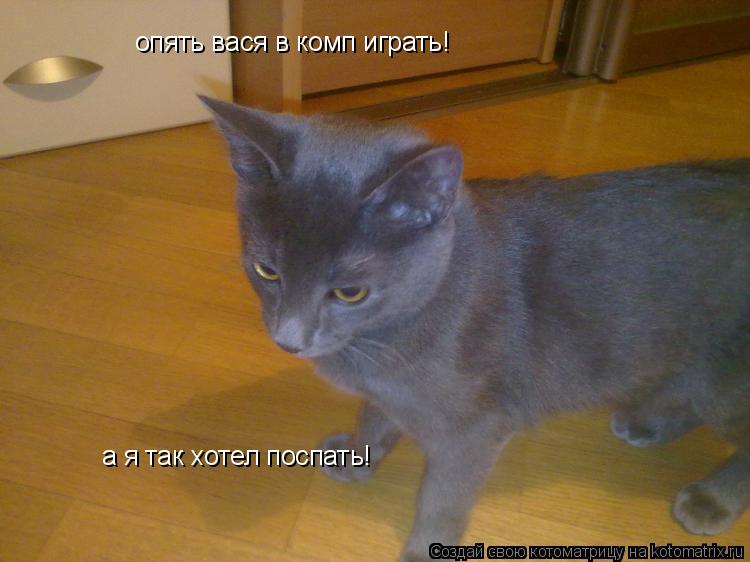 опять вася в комп играть! а я так хотел поспать!... Котоматрица: опять вася в комп играть! а я так хотел поспать!