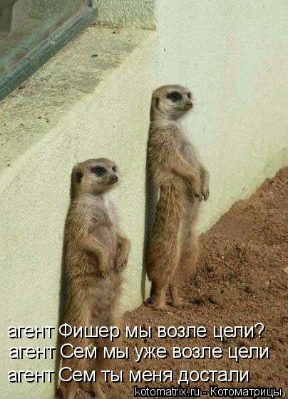 агент Фишер мы возле цели? агент Фишер мы возле цели? агент Сем мы уже возле цели агент Сем ты меня д... Котоматрица: агент Фишер мы возле цели? агент Фишер мы возле цели? агент Сем мы уже возле цели агент Сем ты меня достали