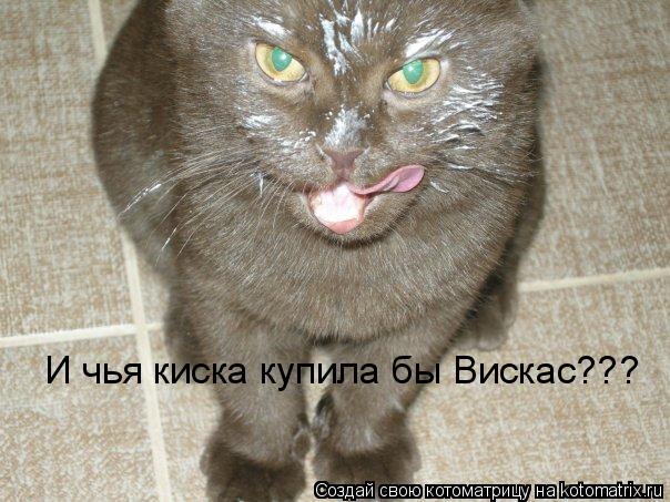 И чья киска купила бы Вискас???... Котоматрица: И чья киска купила бы Вискас???